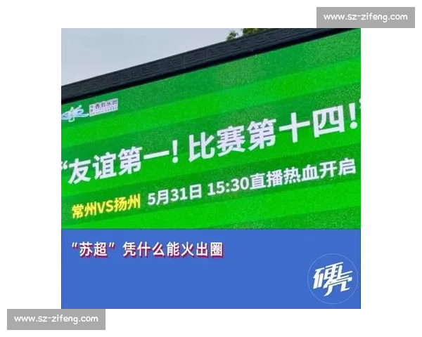 苏超启示:借鉴而非复制,探索本土化足球发展新路径 苏超启示:借鉴而非复制,探索本土化足球发展新路径