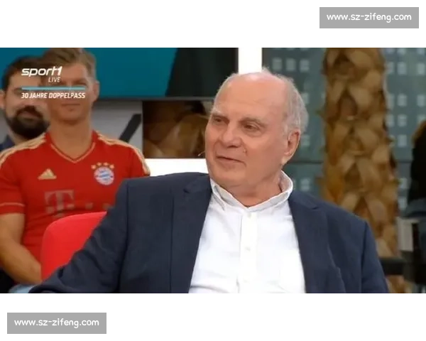 赫内斯：拜仁夏窗成赢家 伤员归队 + 冬窗资金引援双保障